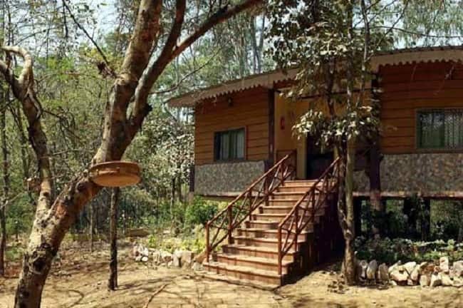 MPT Jungle Resort, Vidisha 1